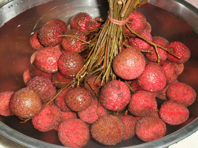 Сʱ�����֦���������