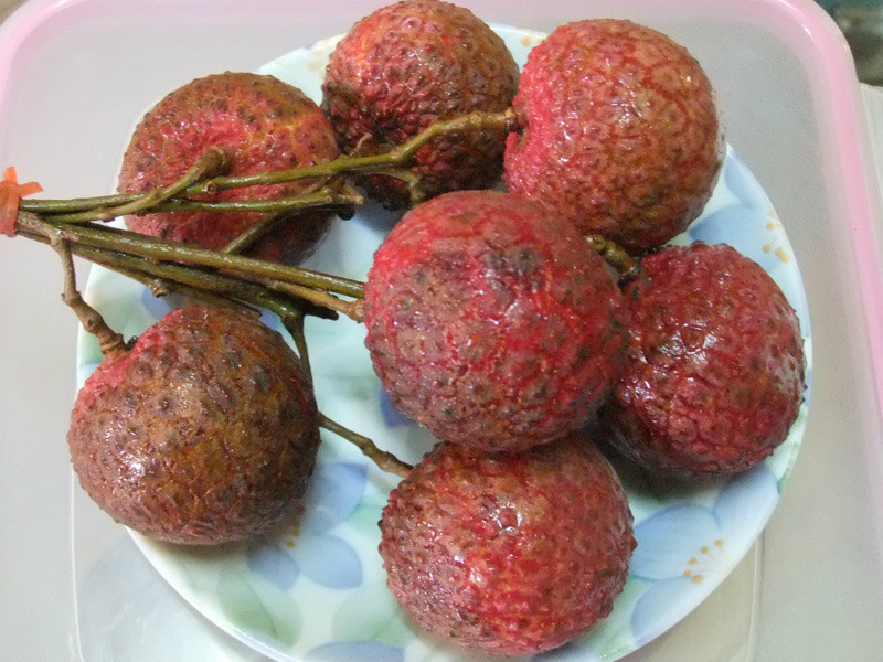 Сʱ�����֦���������