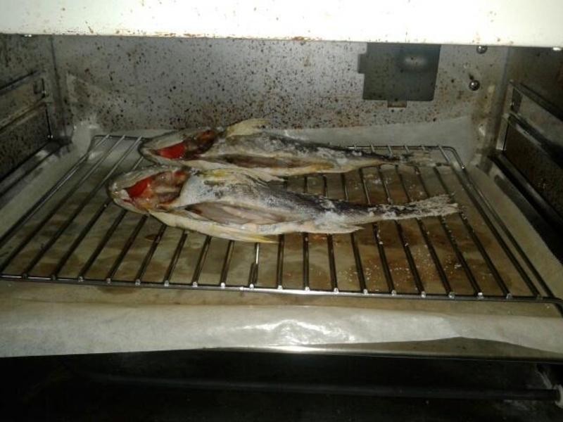 ���ÿ����������㡫�ο��Ƽ��������