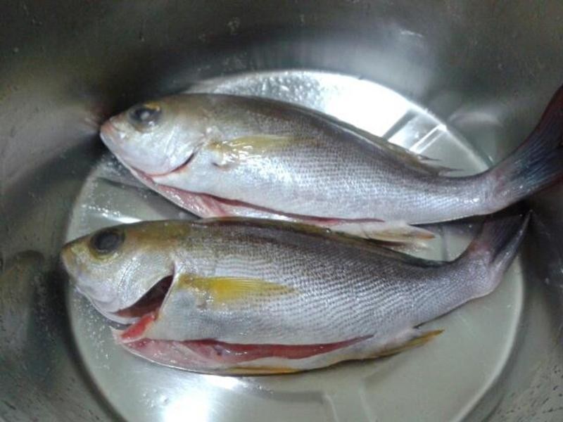 ���ÿ����������㡫�ο��Ƽ��������