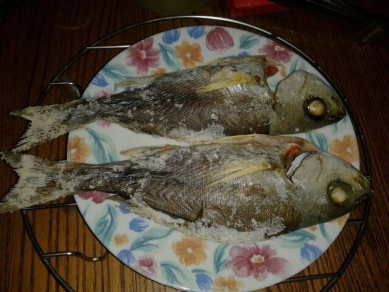 ¼ÒÓÿ¾ÏäÊÔ×ö¿¾Óã¡«Ñο¾»Æ¼¦ÓãµÄ×ö·¨