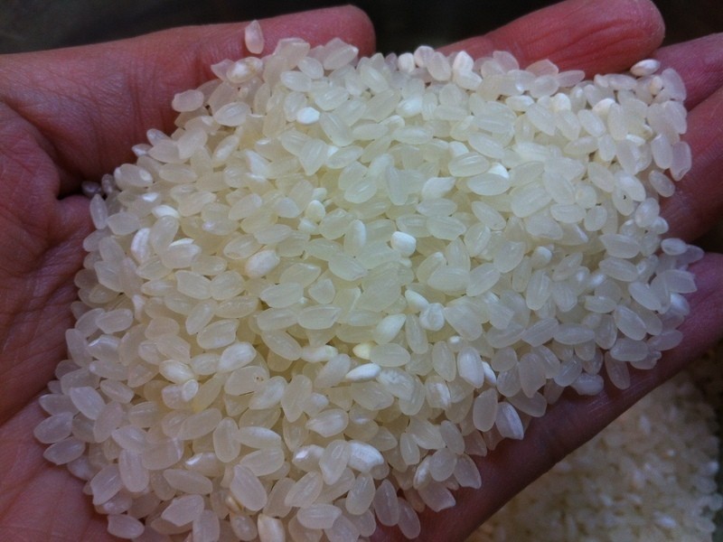 ʮ������-ţ���ⴶ����̨�������ס�������