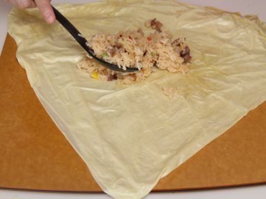 ��Ƥ����������