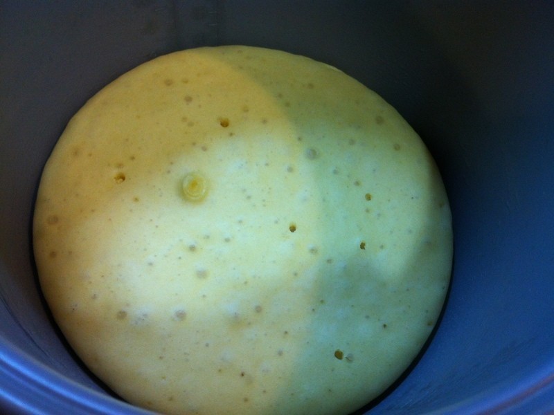 ��ݮ�����ɱ����������