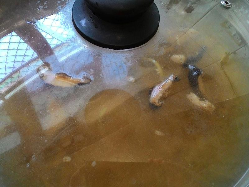 ������˿����������