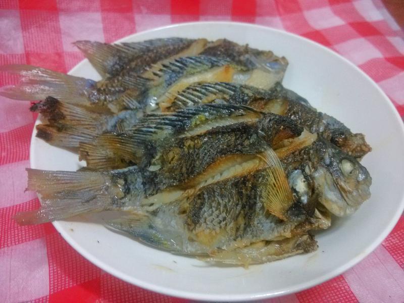 ԭζ������������