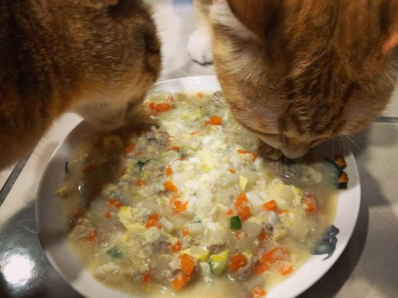 ����ˮ���ճ��͵�����