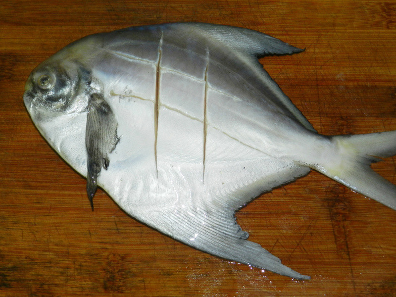 �������~̩ʽ���������