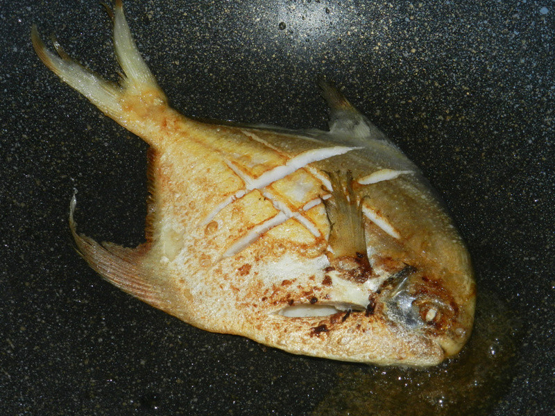 �������~̩ʽ���������