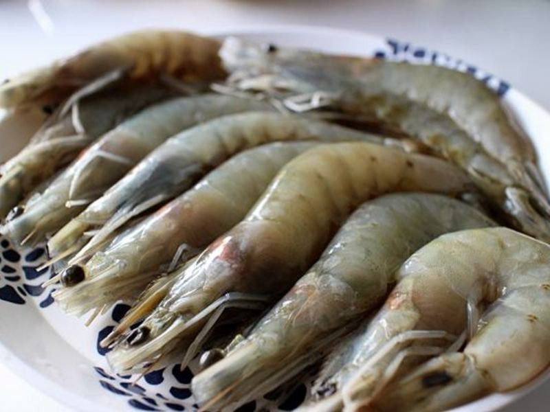 ̩ʽ����Ϻ������