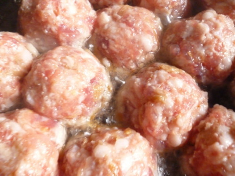 ��� ����ʨ��ͷ������