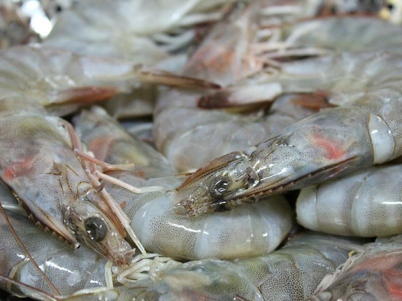 [�������]�����Ϻ����������������