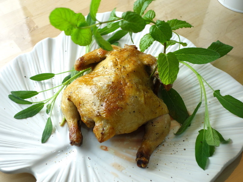 ���� �������㿾���� �������ʾ��Ӱ��������