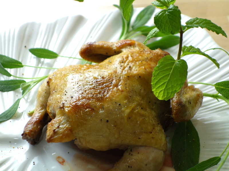 ���� �������㿾���� �������ʾ��Ӱ��������