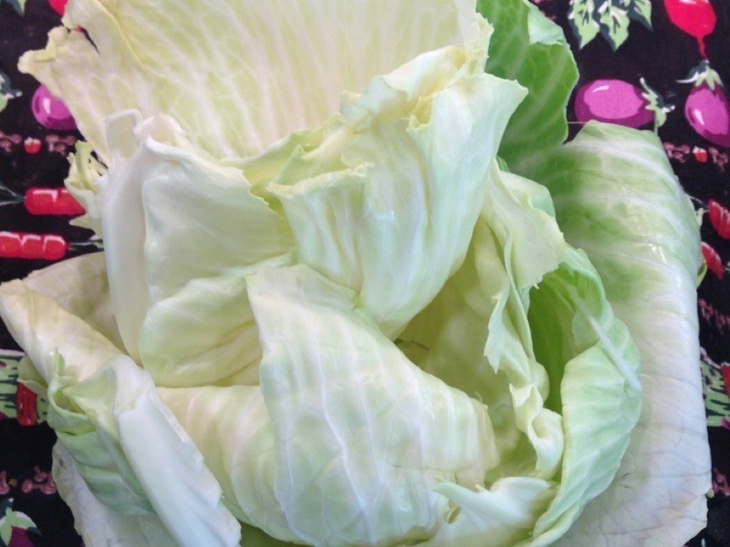 �������ؾ�������