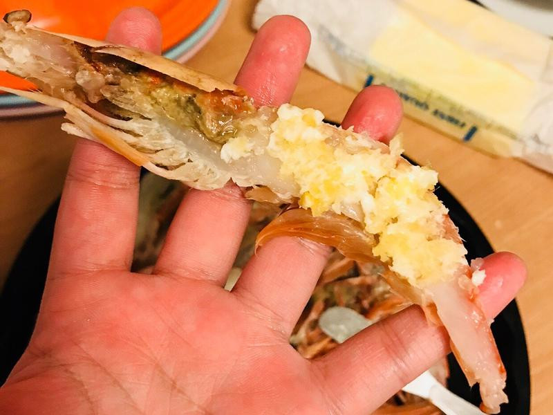 ����������ʹ��Ϻ������