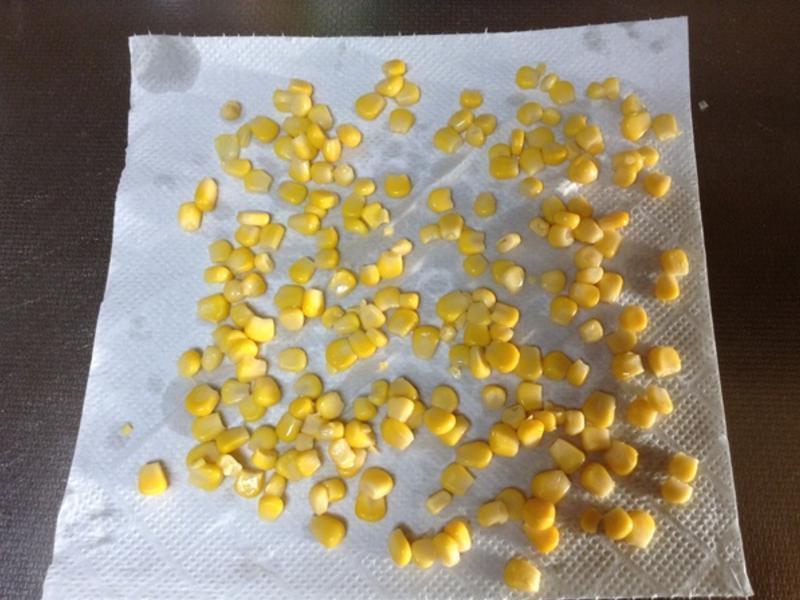 ������������������ࣩ������