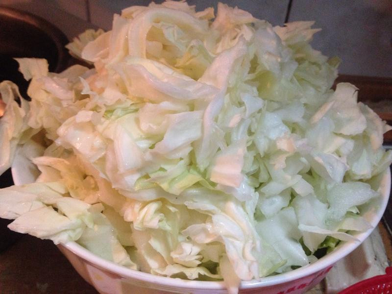 ���ܲ��������˵�����