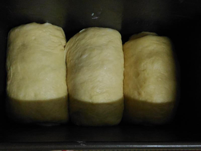 �ۺϹ�����˾������