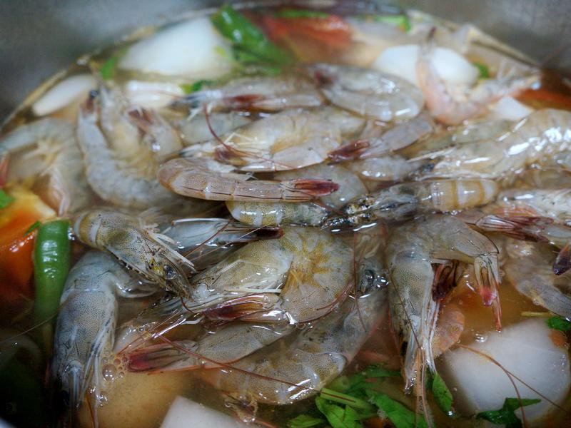 ��ʽ����������