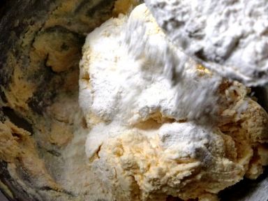 ����ţ�����������