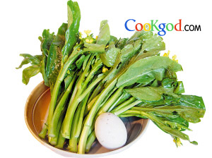 ����Ƥ�����ĵ�����