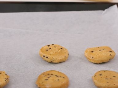 �ɿ��������� [25-30Ƭ]������