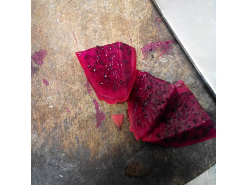 ���������߲��մ����(��Ȼ���ձ���ſ)������