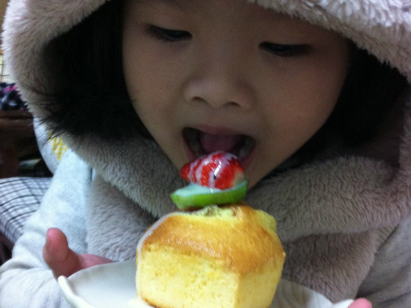 ����ݮ�Ͱ�ӥ�����̡���ݮ��������ӵ��������