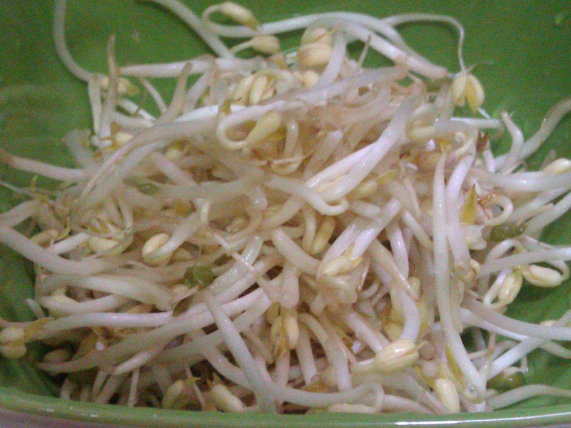 һ�ݼ���Ĵ��У��ϹϺ�������񣨣��˷ݣ�������