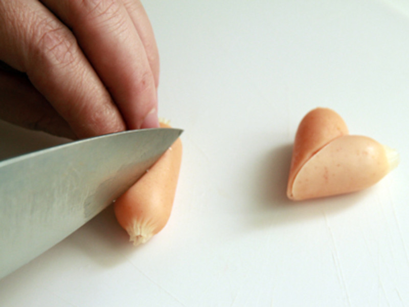 ��̫�Ӱ��Ŀ����ŵ�����