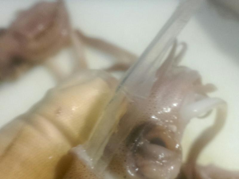 ������С��������