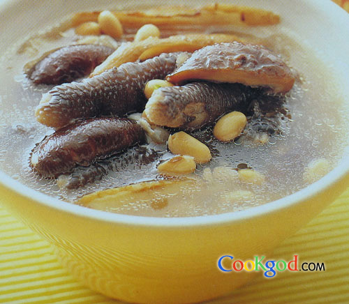 ��צ�ƶ���Ѫ��������