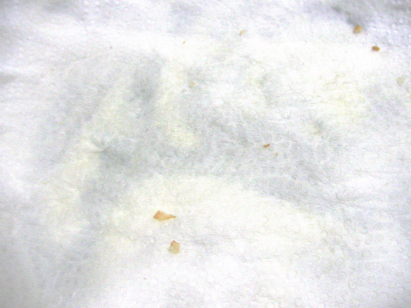 ���»����ó�ֽ~ ������Ĵ��ͱ�������