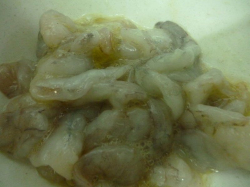 ��������ƻ��Ϻ(����)������