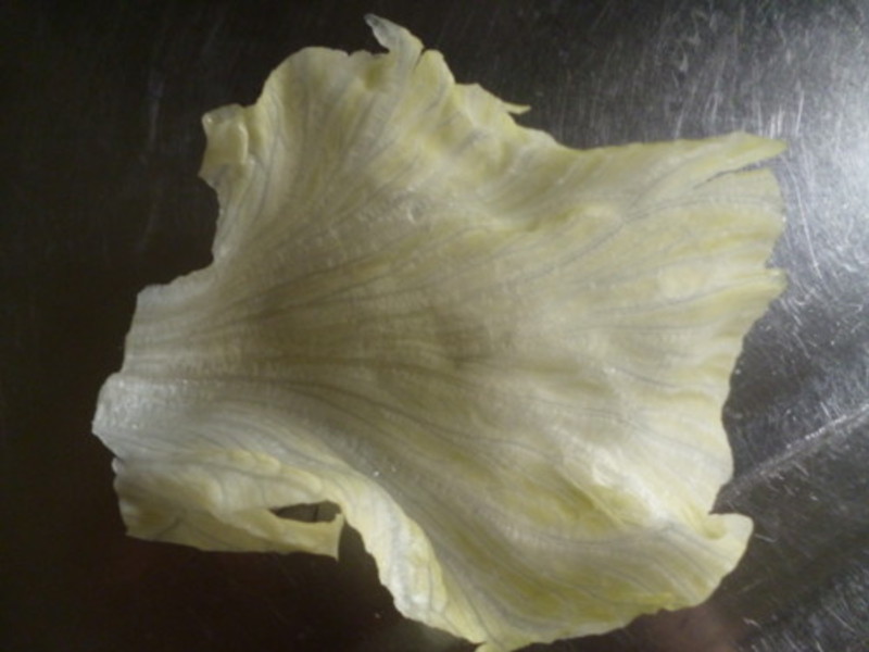 ��������ƻ��Ϻ(����)������