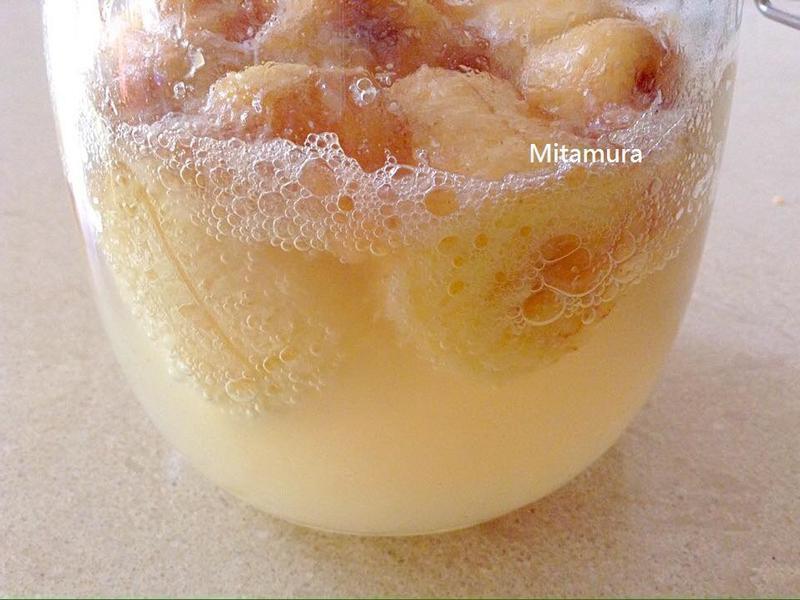 �㽶��ĸ��Ԫ����������������