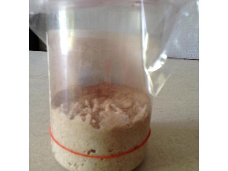 �㽶��ĸ��Ԫ����������������