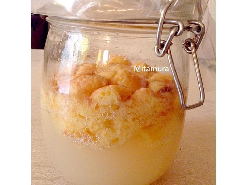 �㽶��ĸ��Ԫ����������������