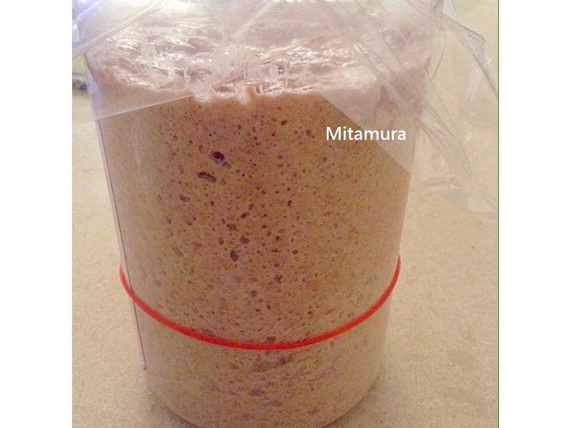 �㽶��ĸ��Ԫ����������������