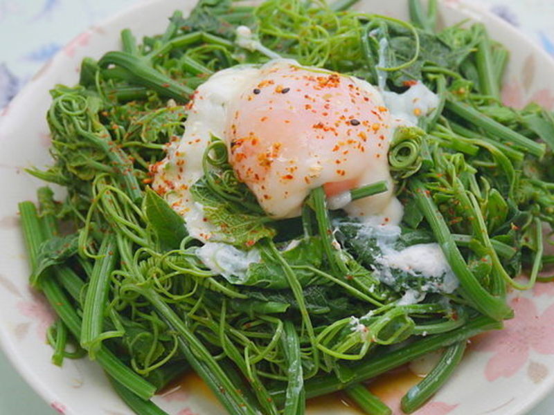 ��������˵�����