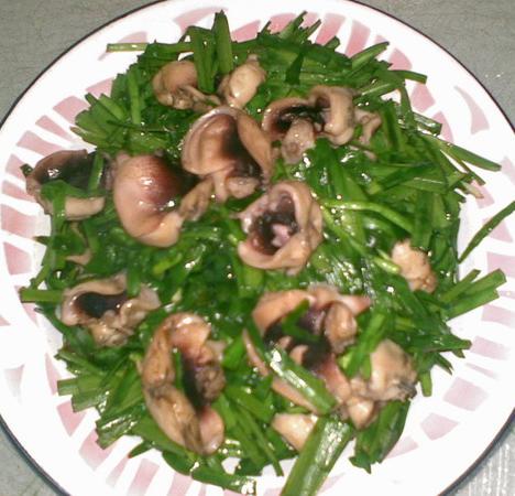 ���˴����²˳�ī�������