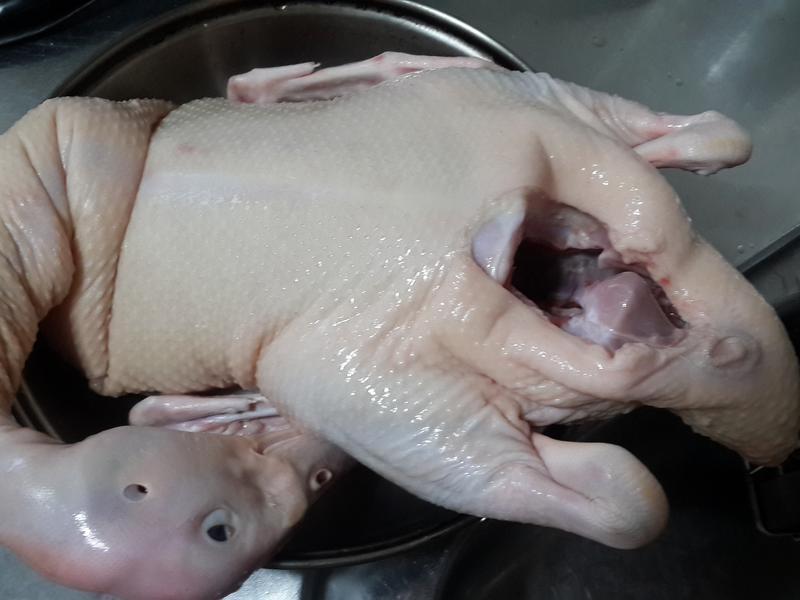 ?ơ��Ѽ?����Ѽ������