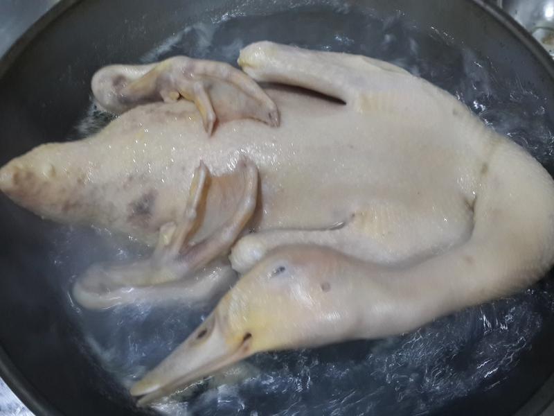 ?ơ��Ѽ?����Ѽ������