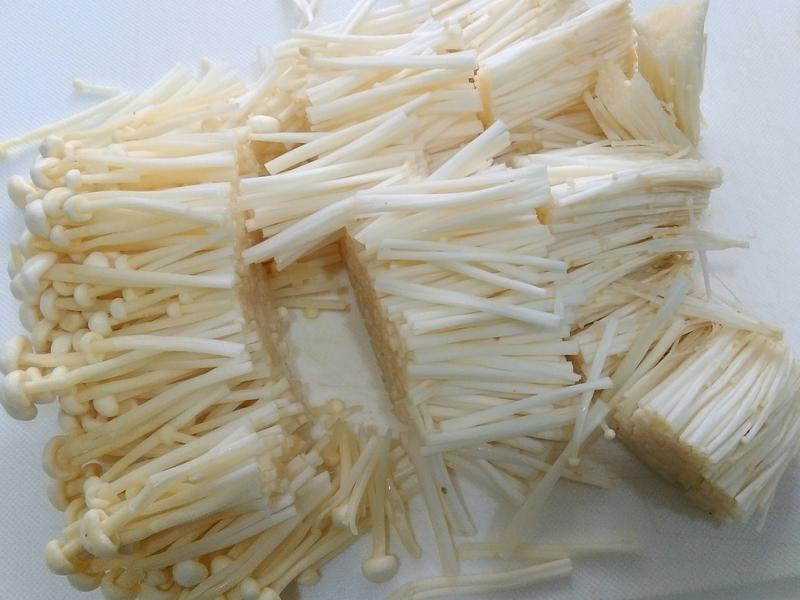 ���ͺͷ罴���ս��빽������