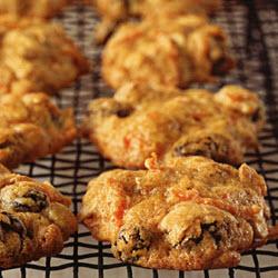 ���ܲ��������Ѹɱ��ɵ�����