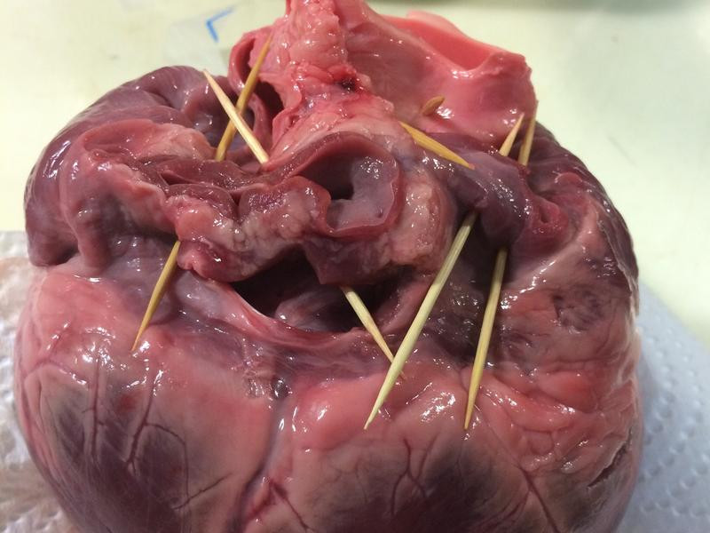 ���� �Οh���ĵ�����