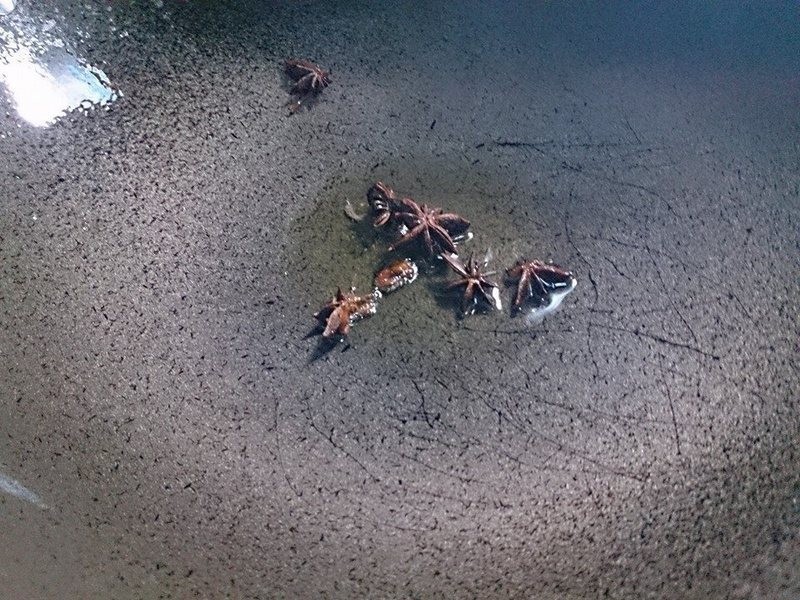 �ܾ����������