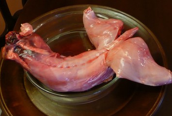 �����ӵ�����