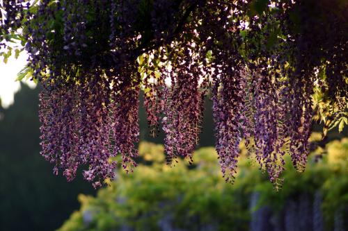 ��Ҫֻ�ڱ��˵�ʱ��д�ռǣ�������ʱʱ��¼��������á�